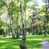 Летний корпоратив