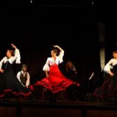 Танцевальное  и музыкальное шоу фламенко