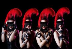 Шоу-балеты на 23 февраля